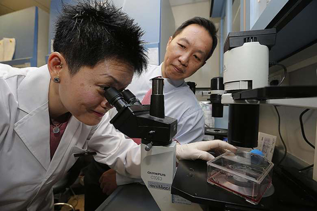 /sites/shcommonassets/Assets/News/singapore-researchers-identify-gene-that-triggers-tumour-cells-to-spread.jpg