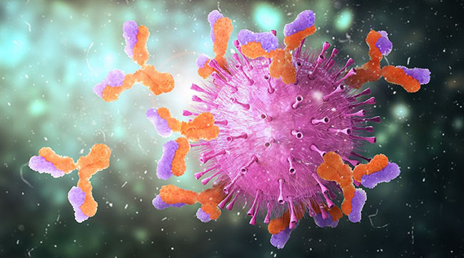 /sites/shcommonassets/Assets/Tomorrow%27s%20Medicine/2022-10-31-vaxxes.jpg