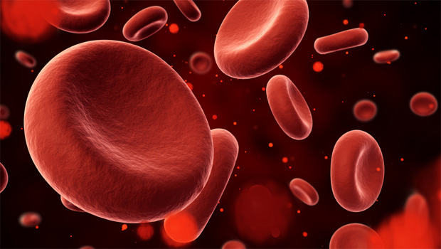 ​Uniting efforts to fight blood cancer