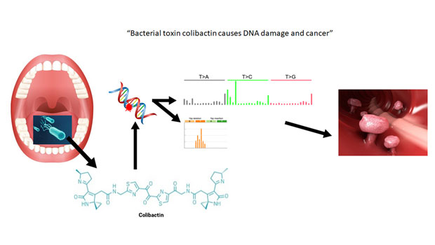 /sites/shcommonassets/Assets/Tomorrow%27s%20Medicine/Cancer-mutations_main.jpg