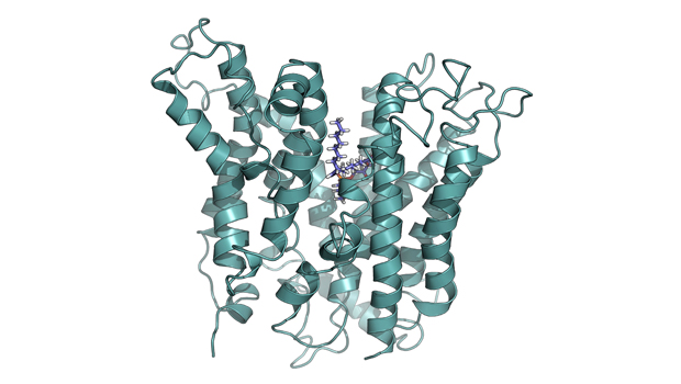 Potential improvements for neurological disease treatments