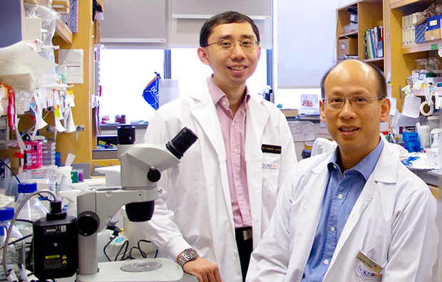 The State of Research : Duke-NUS Cancer and Stem Cell Biology Programme