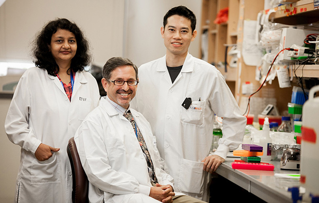 The State of Research : Duke-NUS Cancer and Stem Cell Biology Programme