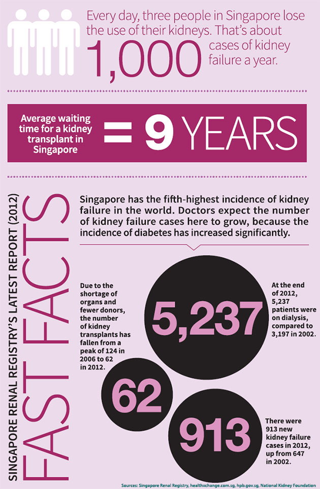 Chronic Kidney Disease in Singapore: Stats and Prevention Tips