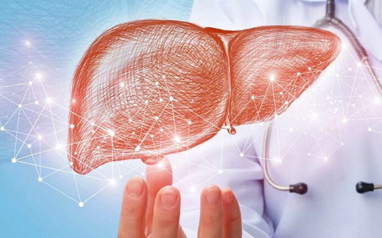 /sites/hexassets/Assets/digestive-system/nccs-screen-for-liver-cancer-study-image.jpg