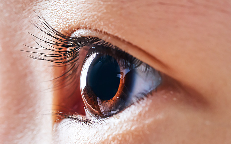 /sites/hexassets/Assets/eye-care/cornea-and-external-eye-disease-page.jpg