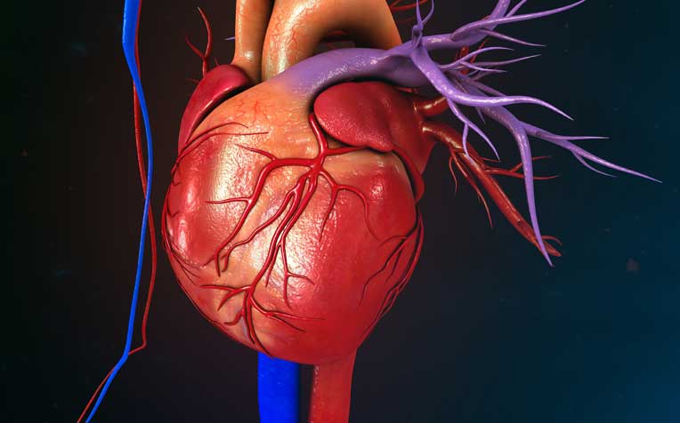 Aortic Dissection: Risk Factors and Symptoms