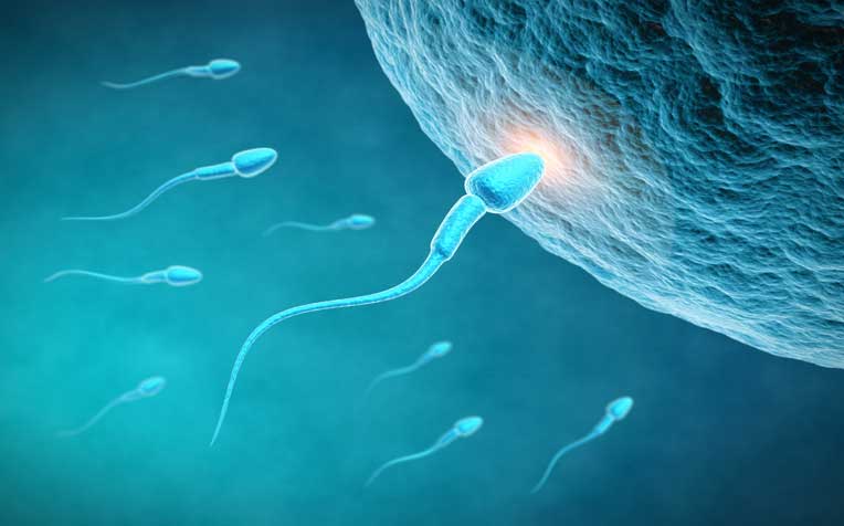 10 Tips to Improve Sperm Count