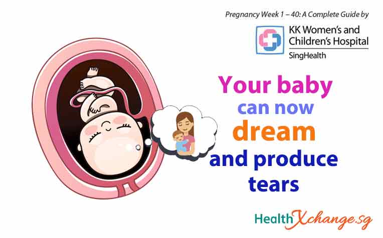 Pregnancy Week 32: Your Baby Can Now Dream and Produce Tears!