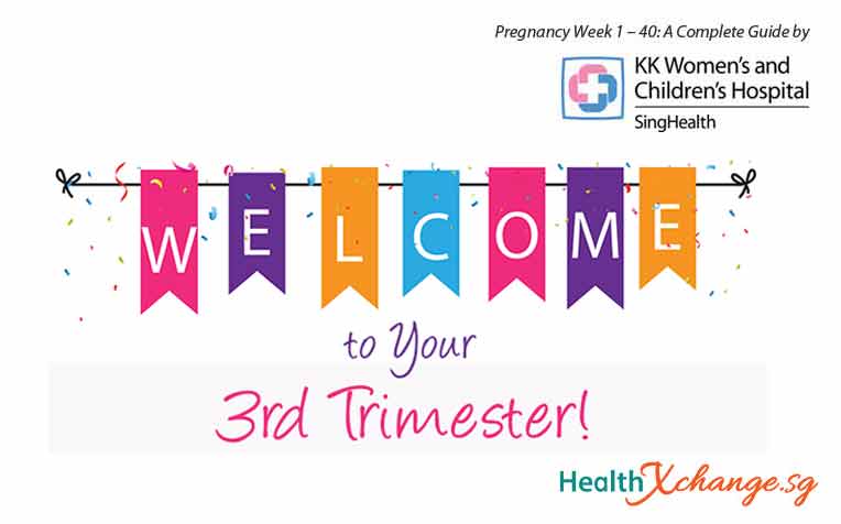 ​Pregnancy Week 29: Welcome to Your Third Trimester!
