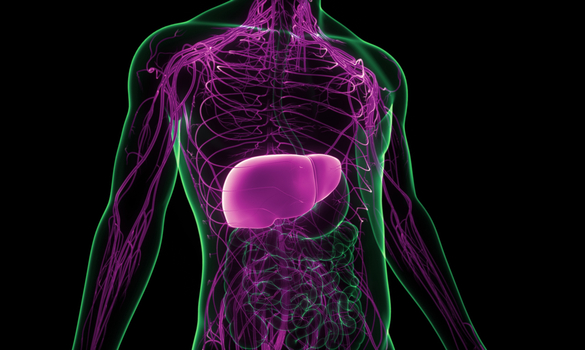 ​Landmark Study to Detect Liver Cancer Early in High-Risk Patients - NCCS