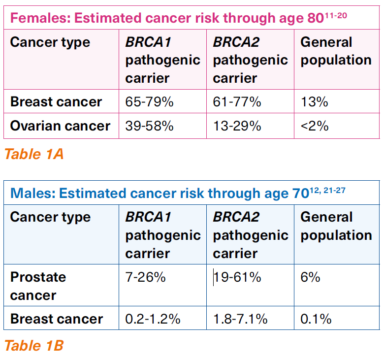 HBOC cancer risk - NCCS